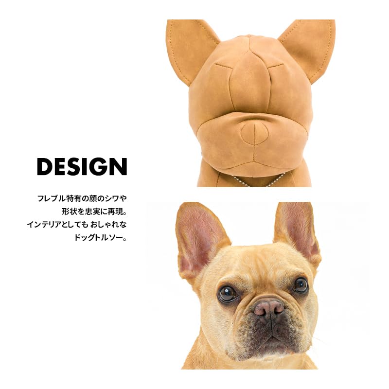 Amazon | 【LIFELIKE公式】プレミアムドッグモデル 犬 トルソー 小型犬